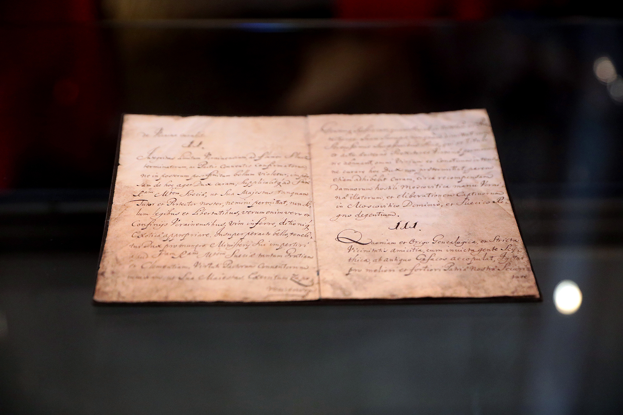 Ukraine's Constitution Day: How country adopted fundamental law and what preceded it